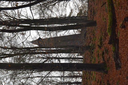 d8526f9a05cb8082a7bea92803f3a8cc.640x360