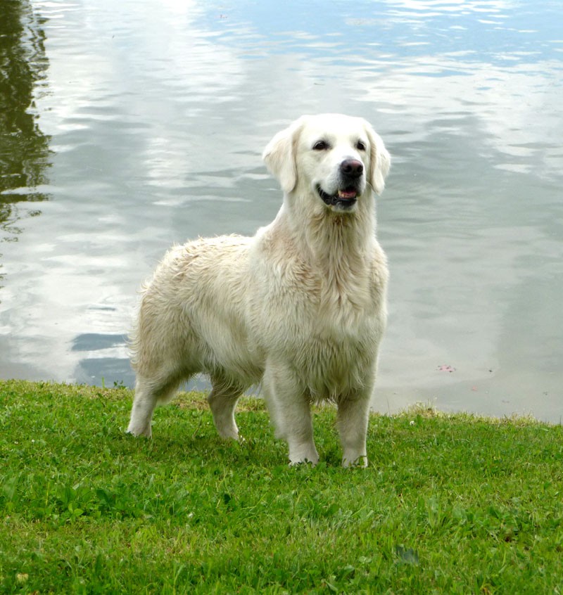 dorris-po-kryti.jpg