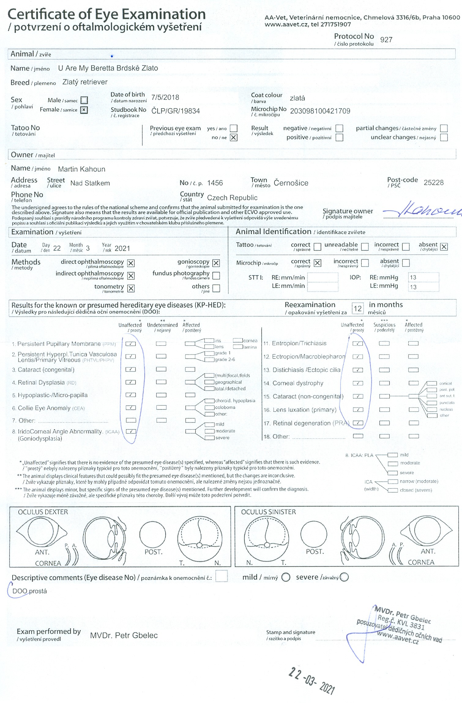 beretta-dov-22.3.210001.jpg