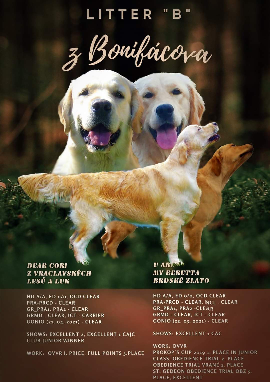 beretta-a-cori.jpg