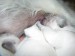 DSCN9910